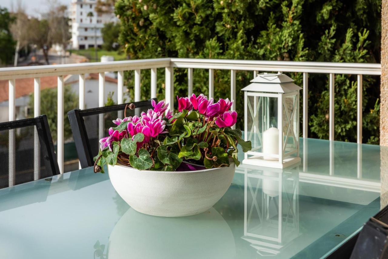 Angy Apartment Alcudia  Exterior foto
